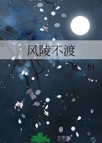 风陵渡这首歌什么意思