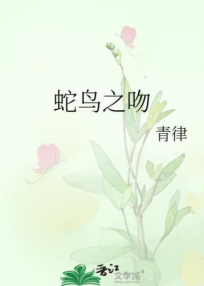 蛇鸟入门