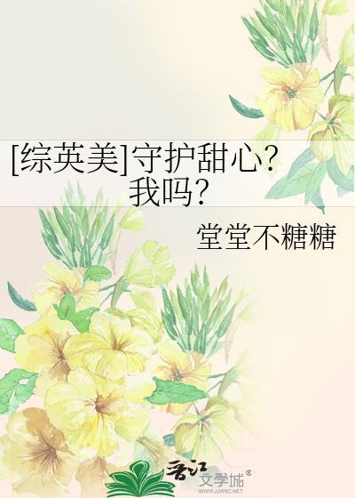 守护甜心穿越综英美