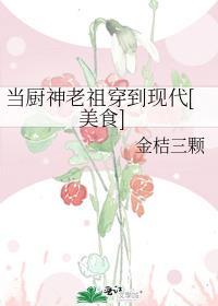 厨神小当家之穿越