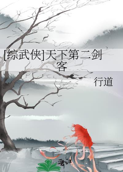 综武侠天下第二剑客行道
