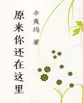 致青春2原来你还在这里TXT