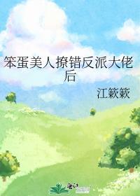 笨蛋美人的错误攻略在线阅读