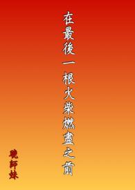 北京最后一根火柴