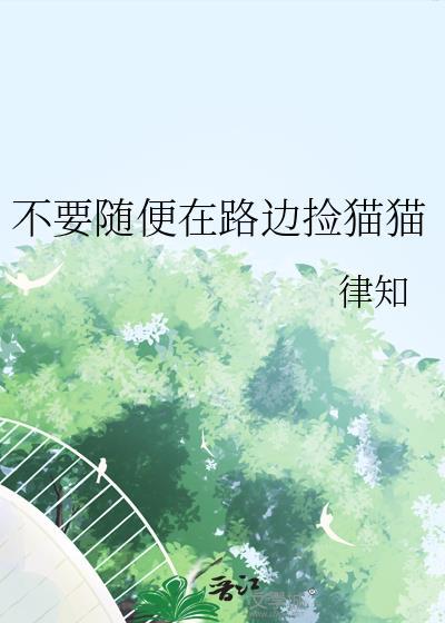 路上捡的小猫可以养吗