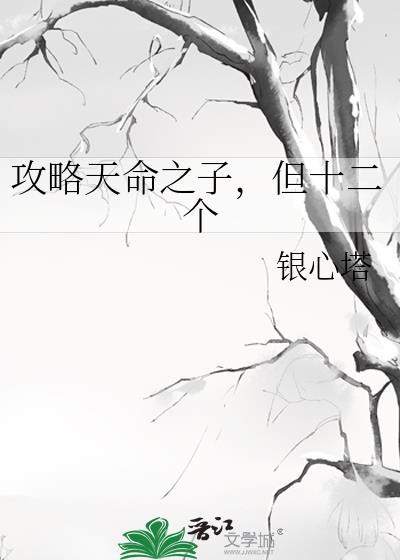 攻略天命之子但十二个格格党