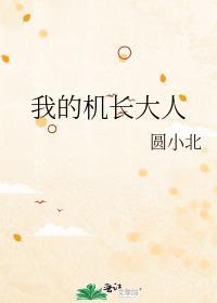 我的机长大人第二季