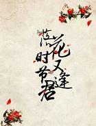 落花时节又逢君什么意思