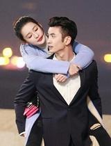 佳期如梦之海上繁花百科