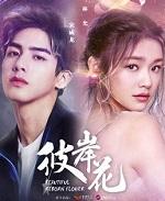 彼岸花什么时候开花