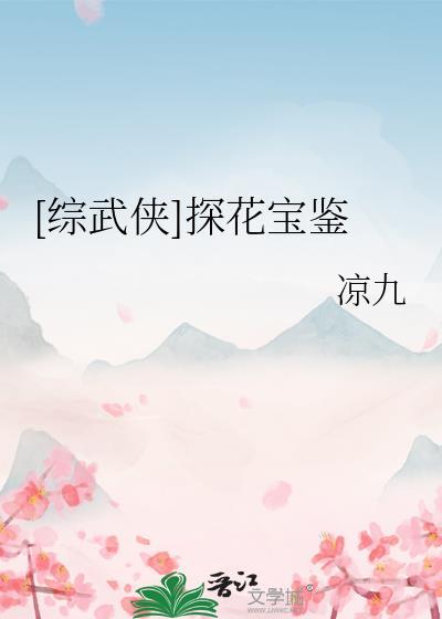 武侠世界探花