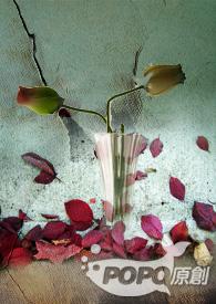 忘川情什么意思