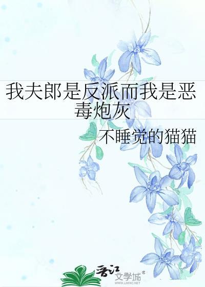 我夫郎是反派而我是恶毒炮灰笔趣阁