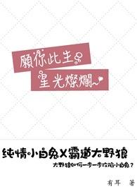 愿你星光璀璨什么意思