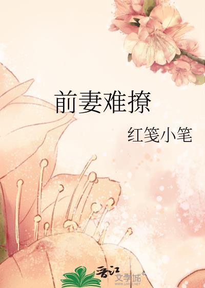 前妻难撩百度