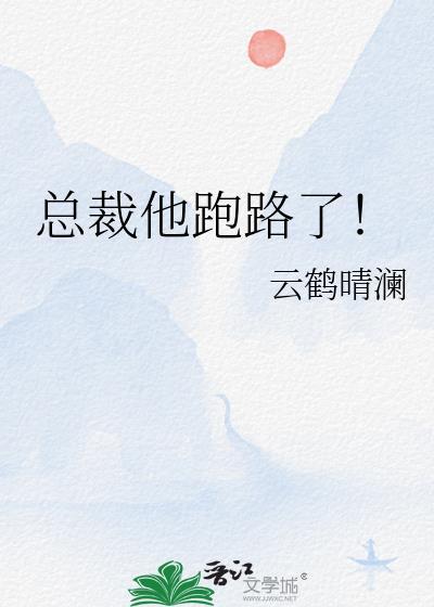 总裁别跑