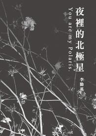 夜晚北极星在哪边