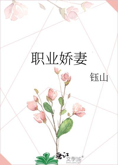职业妻子泰剧百度百科