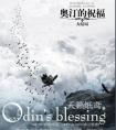 奥汀的祝福免费阅读