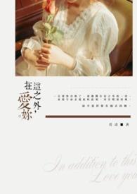 在这之外爱你什么歌