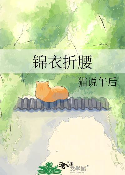 锦衣折腰 猫说午后