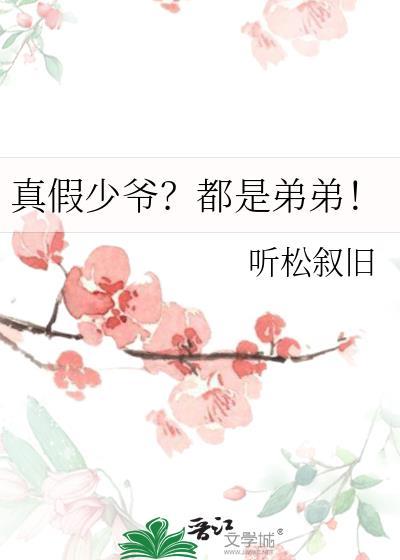 真假少爷电视剧