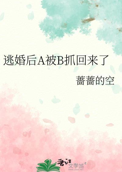 逃婚后a被b抓回来了txt
