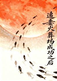 追妻 火葬场