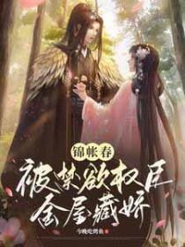 锦帐春宵免费阅读