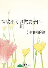 宿敌不对我负责gl