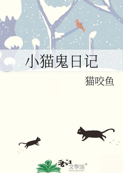 小猫 日记