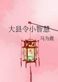 大县令小仵作宝书网