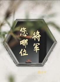 将军您好