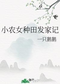 小农女的发家史月七兮