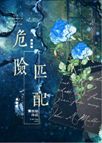 危险匹配星际番外