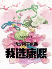 女主穿越清穿康熙和阿哥