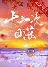 十一次日落by庐十七
