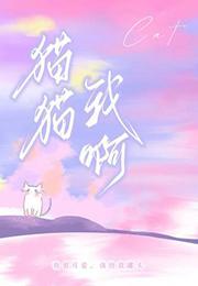 我猫猫什么意思