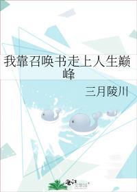 我靠召唤玩家拯救