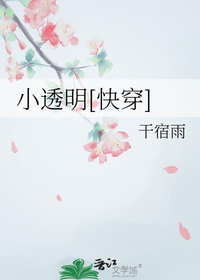 小透明rom