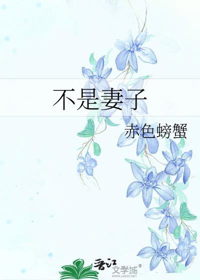 不是妻子双女主