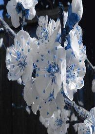 春秋航空工程师吴祖洪获表扬