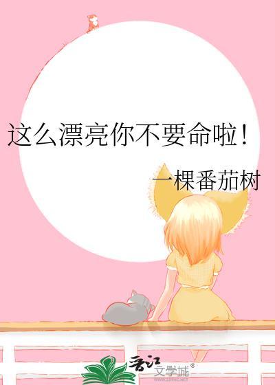 这么漂亮怎么办什么歌