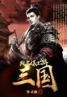 极品三国攻略