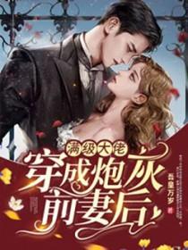 满级大佬穿成炮灰前妻后全文免费阅读