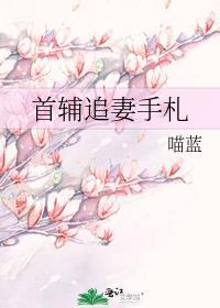 首辅的追妻之路