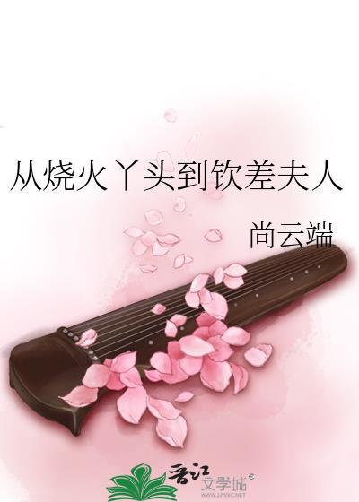 从烧火丫头到钦差夫人格格党