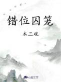 错位同人文