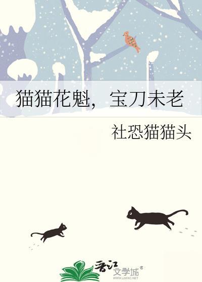 猫猫花魁宝刀未老免费阅读笔趣