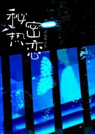 秘密恋情什么意思